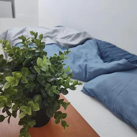 Old Town Bucharest- Shared Ubytování v soukromí