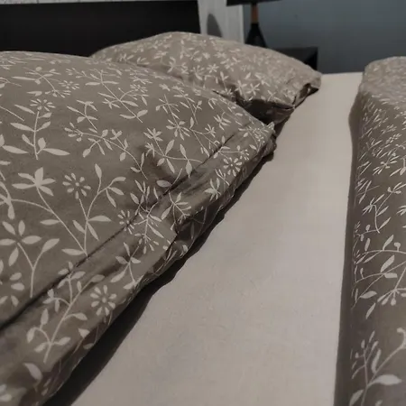 Old Town Bucharest- Shared Ubytování v soukromí