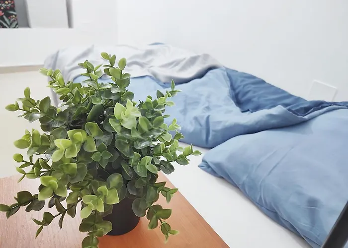 Old Town Bucharest- Shared Bukurešť