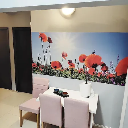 Gazde/Camere de închiriat Old Town Bucharest- Shared