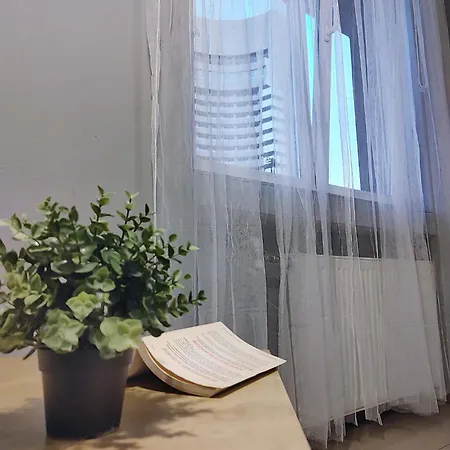 Homestay Old Town Bucharest- Shared *