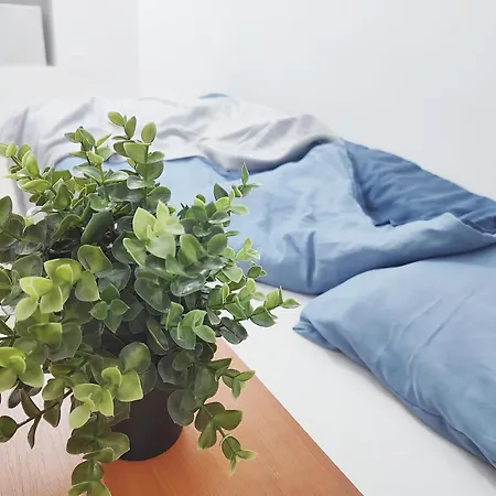 Old Town Bucharest- Shared Bucharest