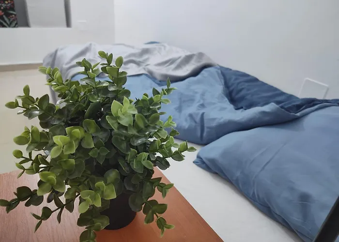 Old Town Bucharest- Shared Gazde/Camere de închiriat