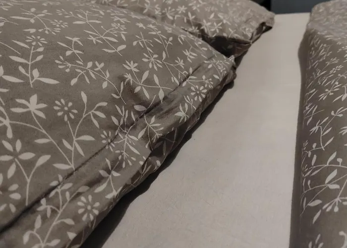 Old Town Bucharest- Shared Gazde/Camere de închiriat